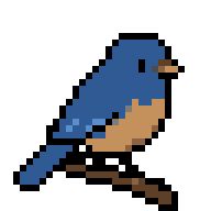 bird