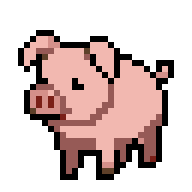 pig
