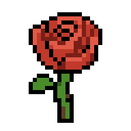 rose
